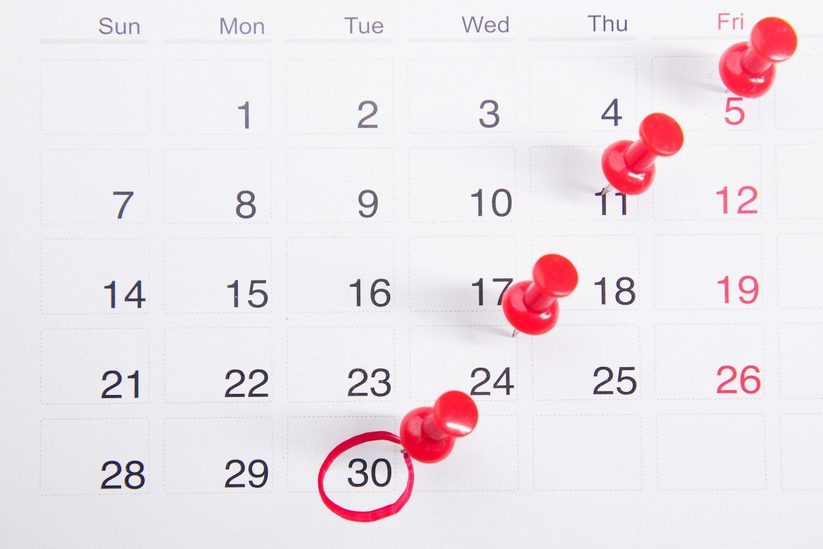 La biologia non segue i calendari rigidi